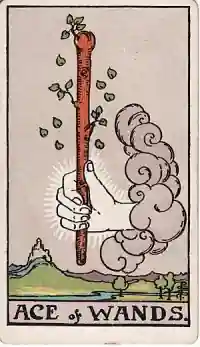 Ace of Wands
